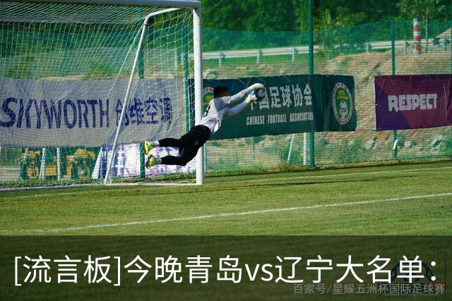 [流言板]今晚青岛vs辽宁大名单：赵继伟、付豪出战，王睿泽在列